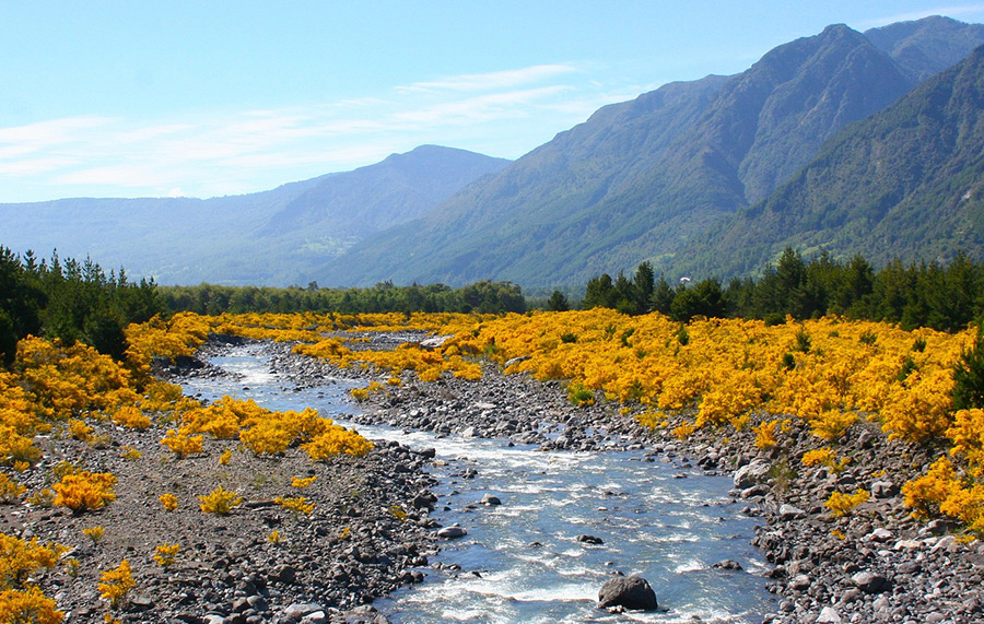 Fly Fishing in Patagonia, Argentina