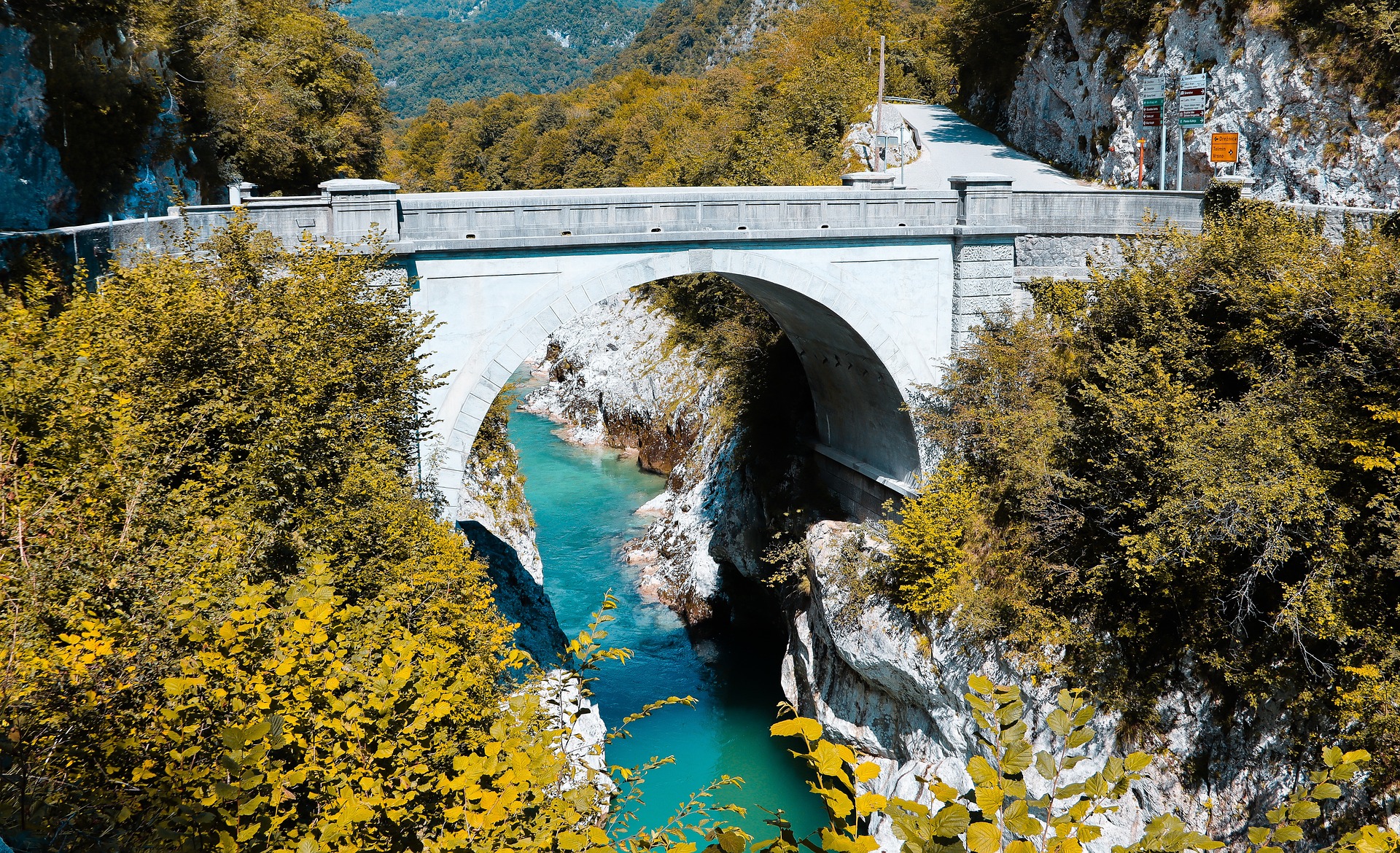 Fly fishing in Slovenia